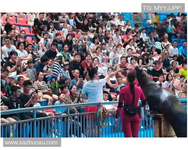 上海网球队的精神探索与网球文化的深度融合之旅