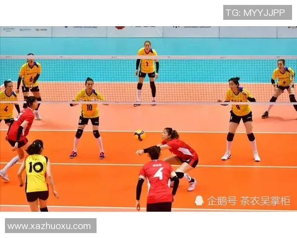 上海排球队在世界杯预选赛中的团队协作表现值得称赞与反思