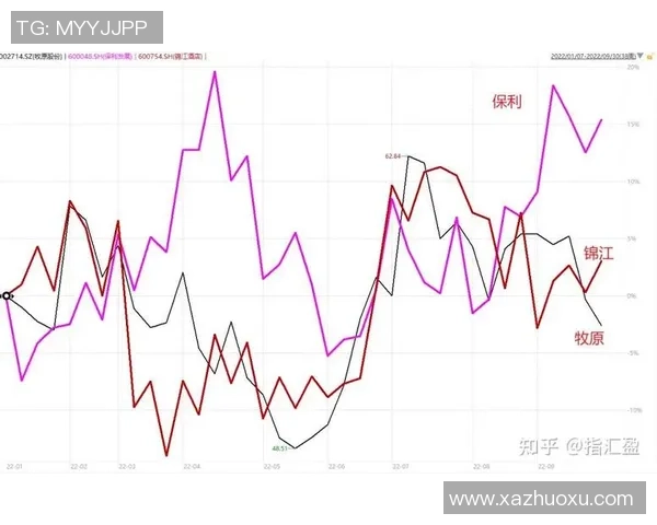 杭州乒乓球队实力飙升再创新高引发全国关注与热议