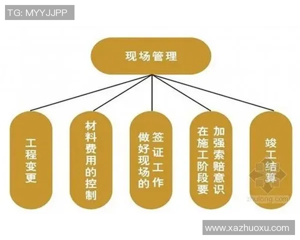 北京篮球队的战术意识与团队协作探讨及其对比赛表现的影响分析