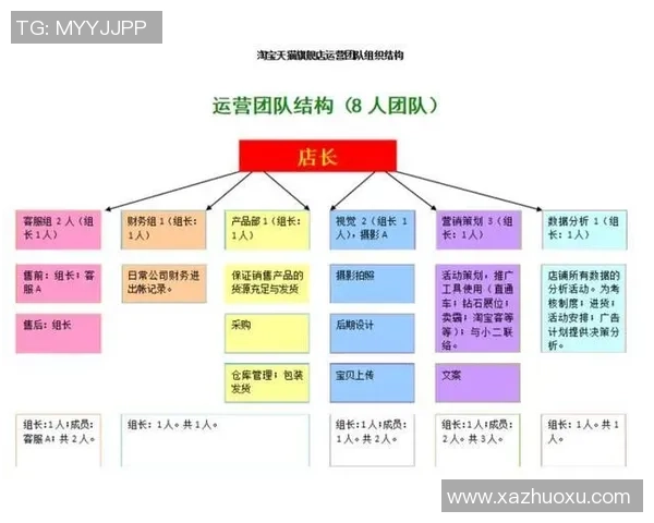 探索上海篮球队运营体系中的战术创新与团队协作模式