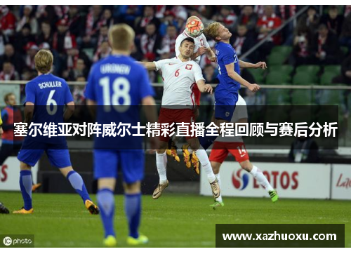 塞尔维亚对阵威尔士精彩直播全程回顾与赛后分析